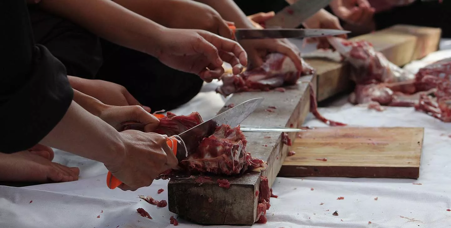zicklein-fleisch